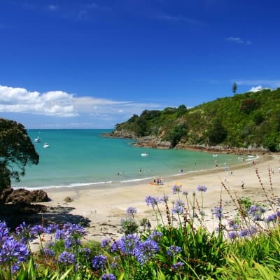 Waiheke Island