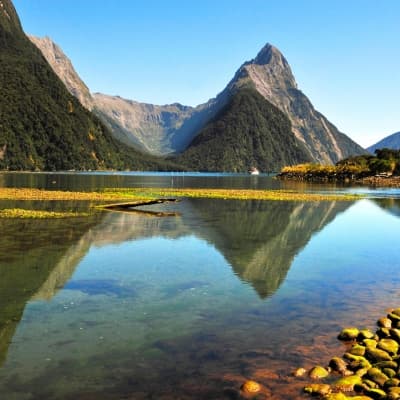 Au cœur du fjord Doubtful Sound