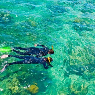 Croisière snorkeling sur la Grande Barrière de Corail