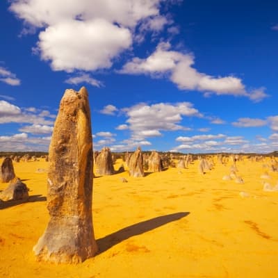 Dunes et désert des Pinnacles