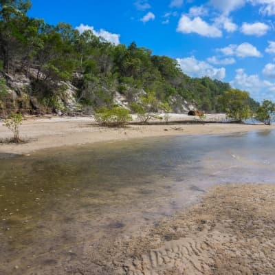 Excursion de deux jours sur Fraser Island