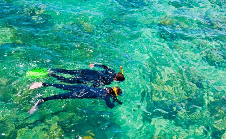 Croisière snorkeling sur la Grande Barrière de Corail