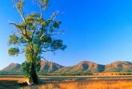 Une aventure australienne